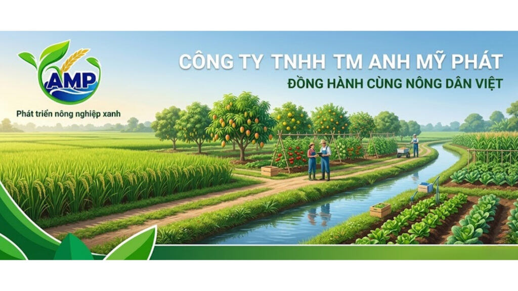 Công Ty TNHH Anh Mỹ Phát