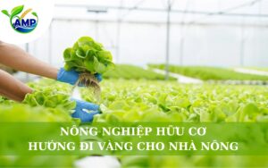 Canh Tác Hữu Cơ: Hướng Đi Vàng Cho Nhà Nông
