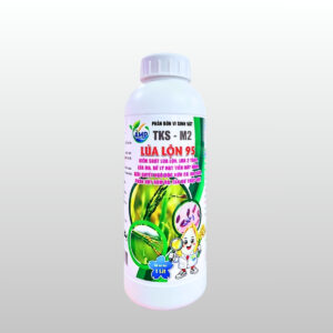 Lúa Lộn 95 – Xử Lý Lúa Lộn, Phân Hủy Rơm Rạ