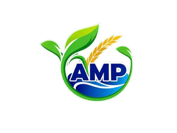anhmyphat.com