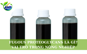 Fugous Proteoglycans Là Gì? Vai Trò Trong Nông Nghiệp