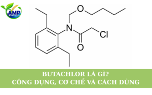 Butachlor Là Gì? Công Dụng, Cơ Chế Và Cách Dùng