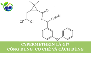 Cypermethrin Là Gì? Công Dụng, Cơ Chế Và Cách Dùng