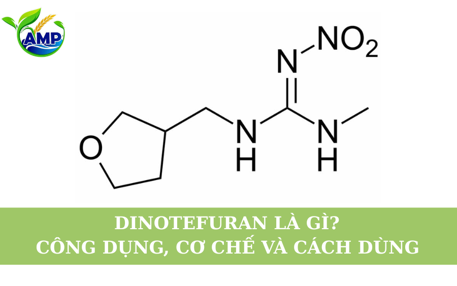 Dinotefuran Là Gì? Công Dụng, Cơ Chế Và Cách Sử Dụng
