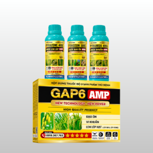 GAP 6 AMP – Bộ 3 Sản Phẩm Trừ Bệnh Toàn Diện