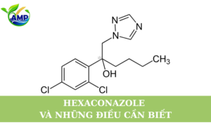 Hexaconazole Và Những Điều Cần Biết