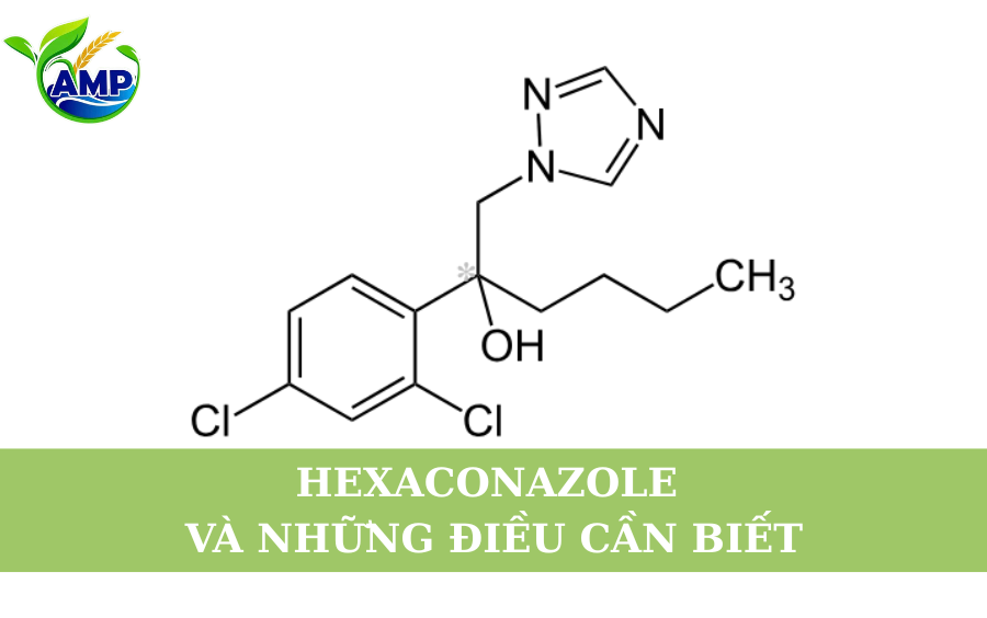 Hexaconazole Và Những Điều Cần Biết