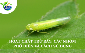 Hoạt Chất Trừ Rầy: Các Nhóm Phổ Biến Và Cách Sử Dụng