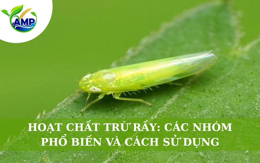 Hoạt Chất Trừ Rầy: Các Nhóm Phổ Biến Và Cách Sử Dụng