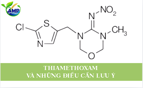 Thiamethoxam Và Những Điều Cần Lưu Ý
