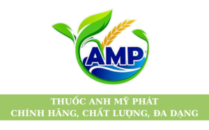 Thuốc Anh Mỹ Phát – Chính Hãng, Chất Lượng, Đa Dạng