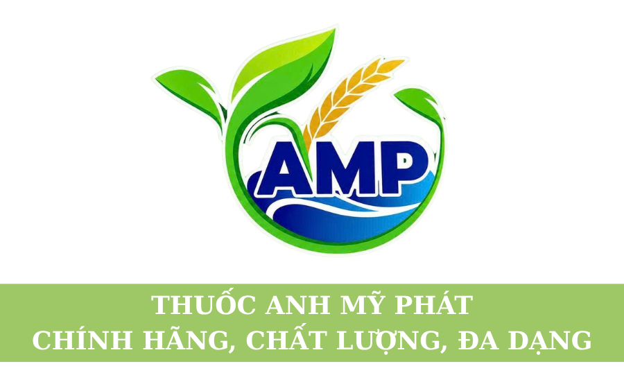 Thuốc Anh Mỹ Phát – Chính Hãng, Chất Lượng, Đa Dạng