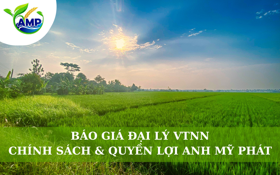 Báo Giá Đại Lý VTNN: Chính Sách Và Quyền Lợi Anh Mỹ Phát