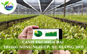 Canh Tác Hiện Đại Trong Nông Nghiệp: Xu Hướng Mới