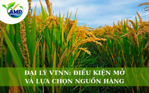 Đại Lý VTNN: Điều Kiện Mở Và Lựa Chọn Nguồn Hàng